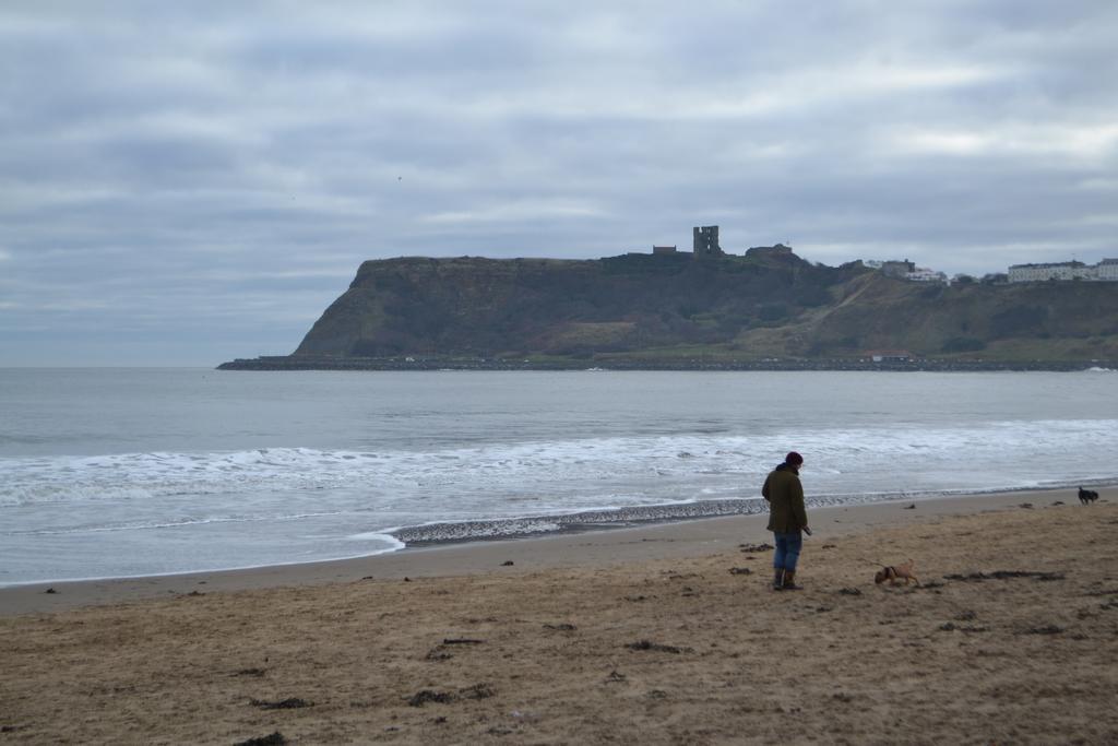 The Beaches Scarborough Kültér fotó