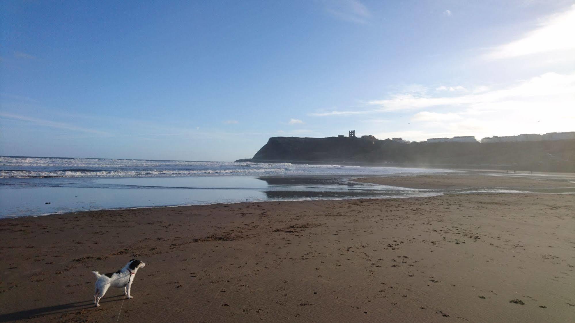 The Beaches Scarborough Kültér fotó